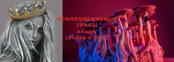 мдма Снежногорск